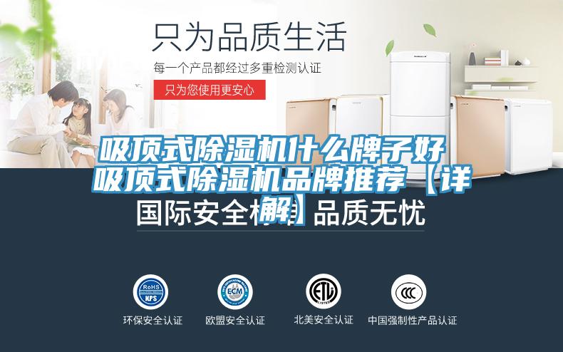 吸頂式除濕機(jī)什么牌子好 吸頂式除濕機(jī)品牌推薦【詳解】