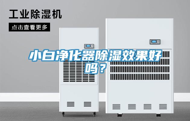 小白凈化器除濕效果好嗎？