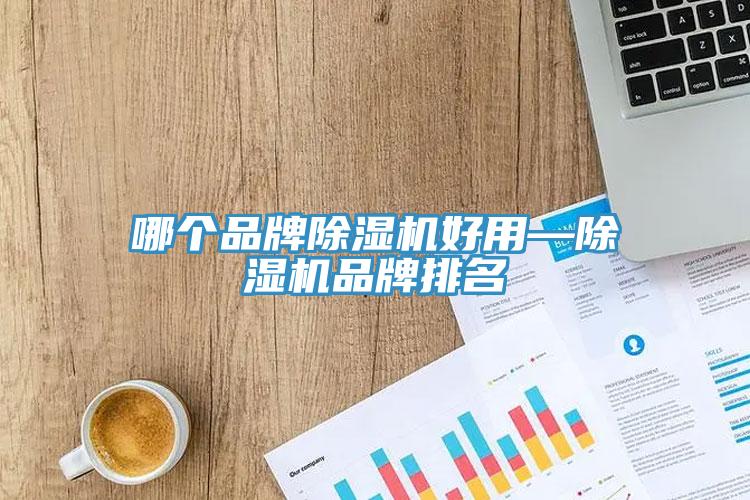 哪個品牌除濕機(jī)好用—除濕機(jī)品牌排名