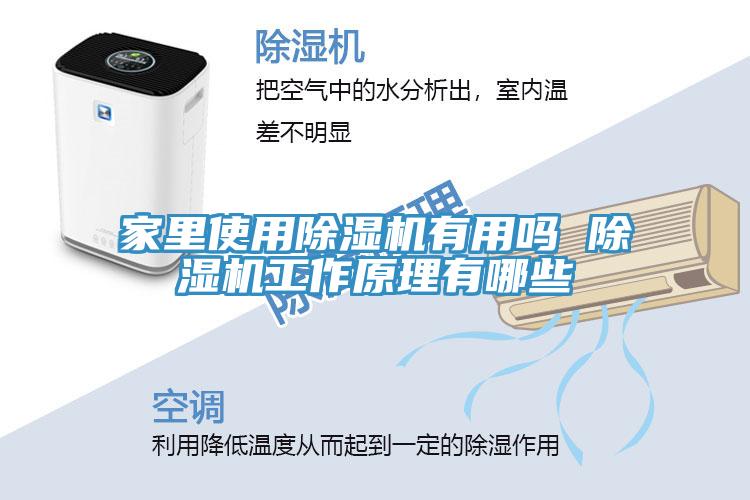 家里使用除濕機有用嗎 除濕機工作原理有哪些
