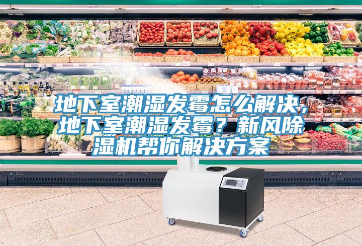 地下室潮濕發(fā)霉怎么解決，地下室潮濕發(fā)霉？新風(fēng)除濕機(jī)幫你解決方案