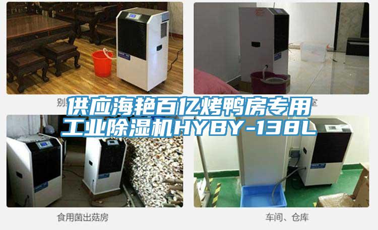 供應海艷百億烤鴨房專用工業(yè)除濕機HYBY-138L