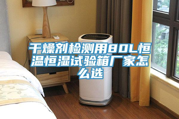 干燥劑檢測用80L恒溫恒濕試驗箱廠家怎么選