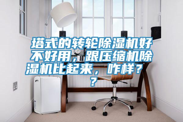 塔式的轉(zhuǎn)輪除濕機(jī)好不好用，跟壓縮機(jī)除濕機(jī)比起來(lái)，咋樣？ ？