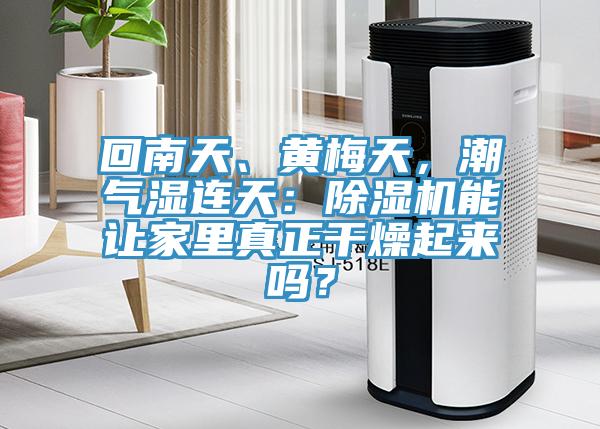 回南天、黃梅天，潮氣濕連天：除濕機(jī)能讓家里真正干燥起來(lái)嗎？