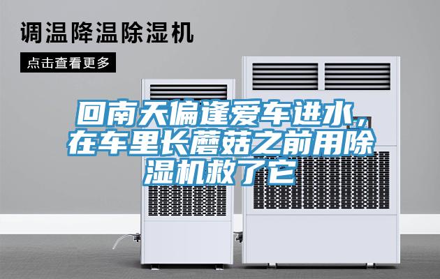 回南天偏逢愛(ài)車進(jìn)水，在車?yán)镩L(zhǎng)蘑菇之前用除濕機(jī)救了它