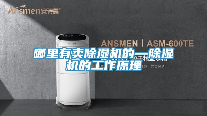 哪里有賣(mài)除濕機(jī)的—除濕機(jī)的工作原理