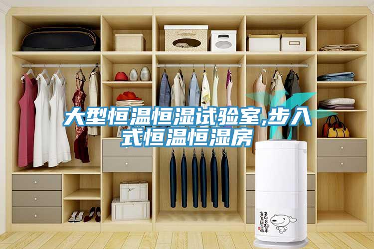 大型恒溫恒濕試驗(yàn)室,步入式恒溫恒濕房