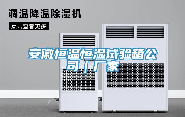 安徽恒溫恒濕試驗(yàn)箱公司｜廠(chǎng)家