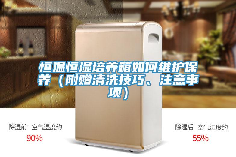恒溫恒濕培養(yǎng)箱如何維護(hù)保養(yǎng)（附贈清洗技巧、注意事項(xiàng)）