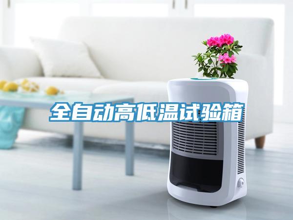 全自動高低溫試驗箱