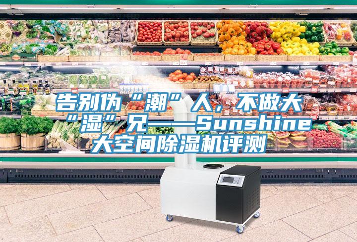 告別偽“潮”人，不做大“濕”兄——Sunshine大空間除濕機(jī)評(píng)測(cè)
