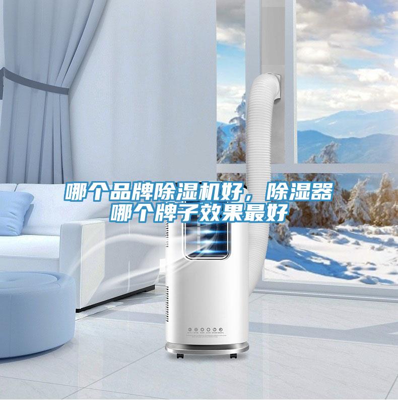 哪個(gè)品牌除濕機(jī)好，除濕器哪個(gè)牌子效果最好
