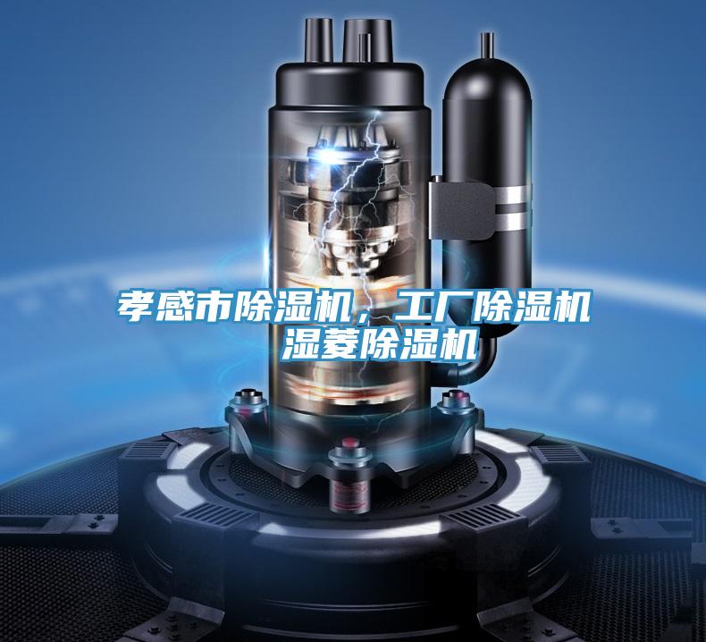 孝感市除濕機(jī)，工廠除濕機(jī)  濕菱除濕機(jī)