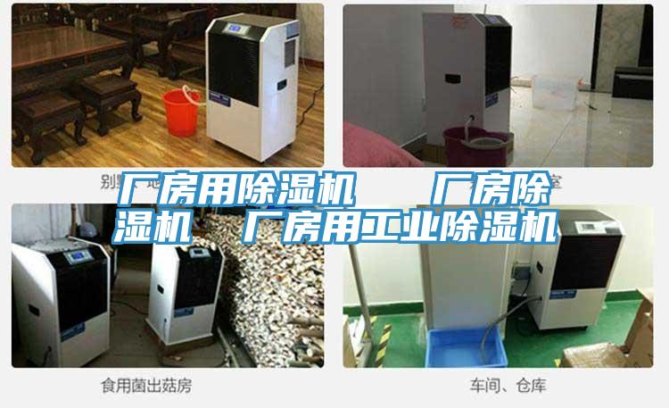 廠房用除濕機(jī)   廠房除濕機(jī)  廠房用工業(yè)除濕機(jī)