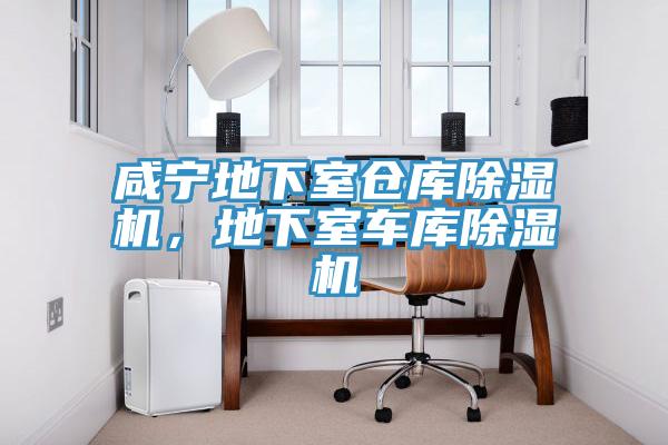 咸寧地下室倉庫除濕機，地下室車庫除濕機
