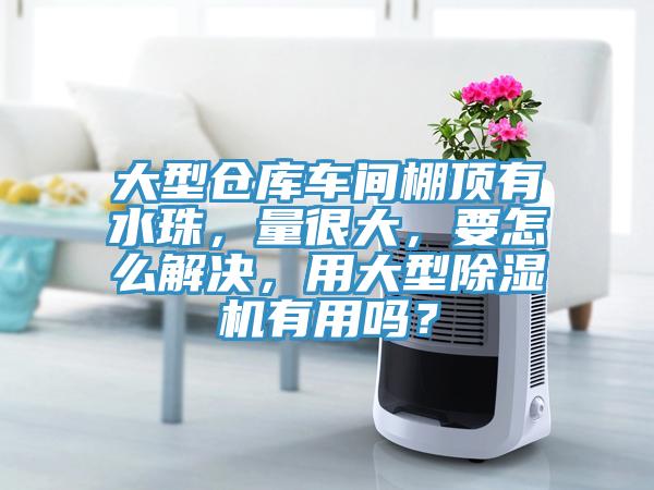 大型倉庫車間棚頂有水珠，量很大，要怎么解決，用大型除濕機有用嗎？