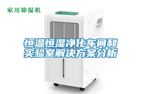 恒溫恒濕凈化車間和實驗室解決方案分析
