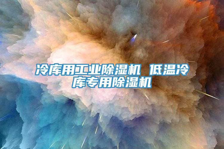 冷庫用工業(yè)除濕機(jī) 低溫冷庫專用除濕機(jī)