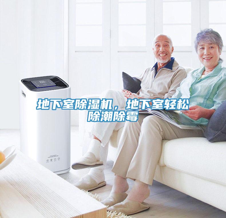 地下室除濕機(jī)，地下室輕松除潮除霉