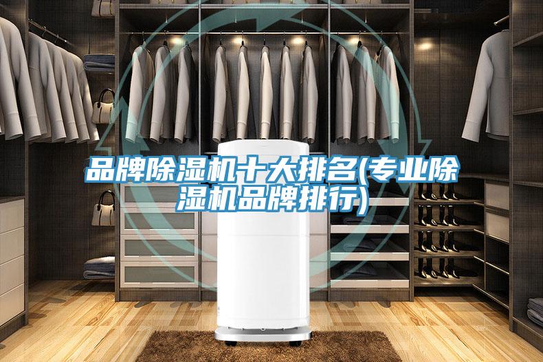 品牌除濕機十大排名(專業(yè)除濕機品牌排行)