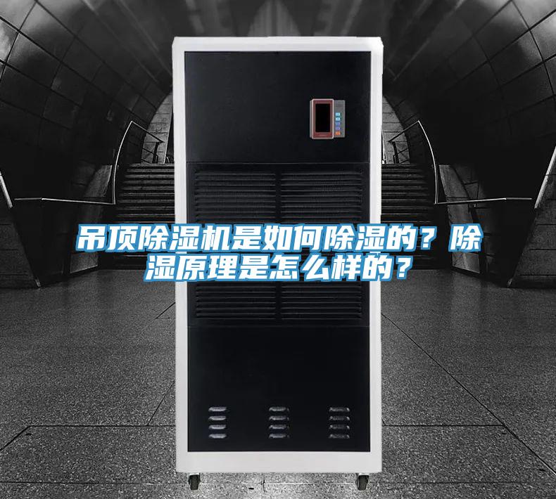 吊頂除濕機是如何除濕的？除濕原理是怎么樣的？
