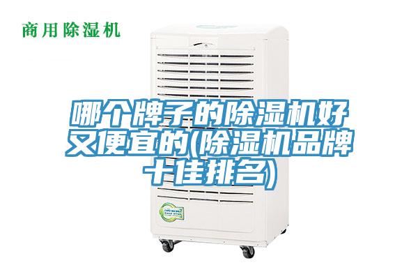 哪個(gè)牌子的除濕機(jī)好又便宜的(除濕機(jī)品牌十佳排名)