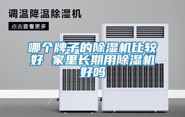 哪個牌子的除濕機比較好 家里長期用除濕機好嗎