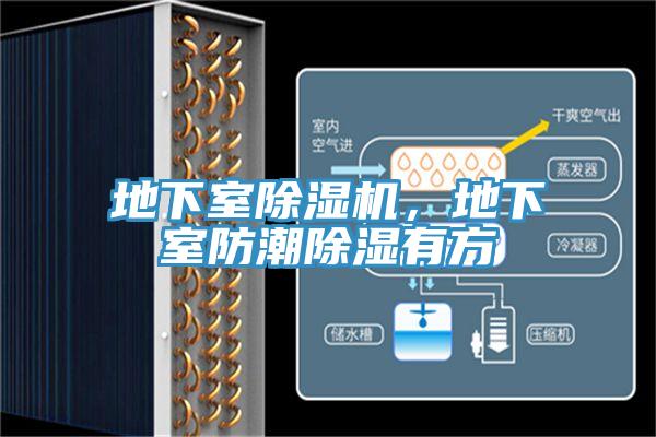 地下室除濕機(jī)，地下室防潮除濕有方