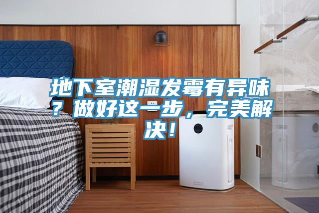 地下室潮濕發(fā)霉有異味？做好這一步，完美解決！