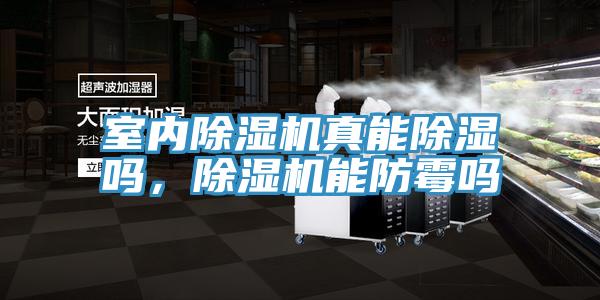 室內(nèi)除濕機(jī)真能除濕嗎，除濕機(jī)能防霉嗎