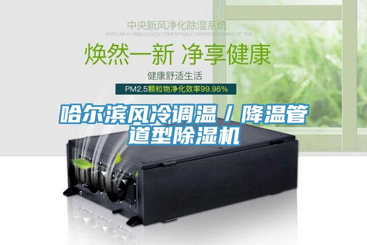 哈爾濱風冷調(diào)溫／降溫管道型除濕機