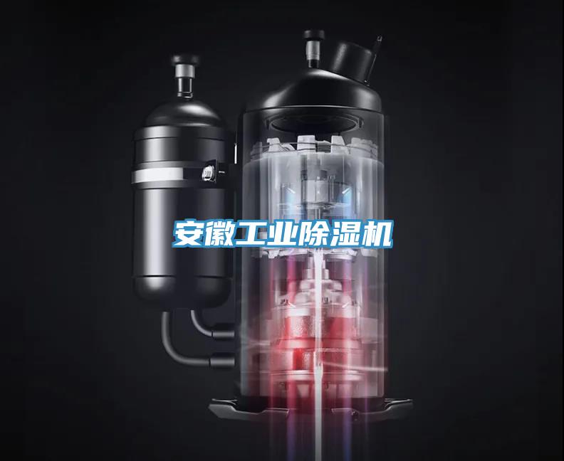 安徽工業(yè)除濕機(jī)