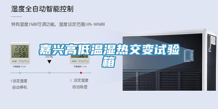 嘉興高低溫濕熱交變試驗箱