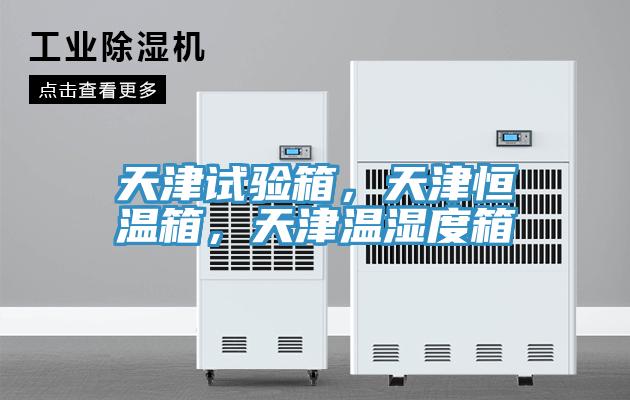 天津試驗箱，天津恒溫箱，天津溫濕度箱