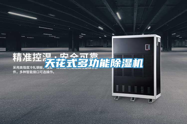 天花式多功能除濕機(jī)
