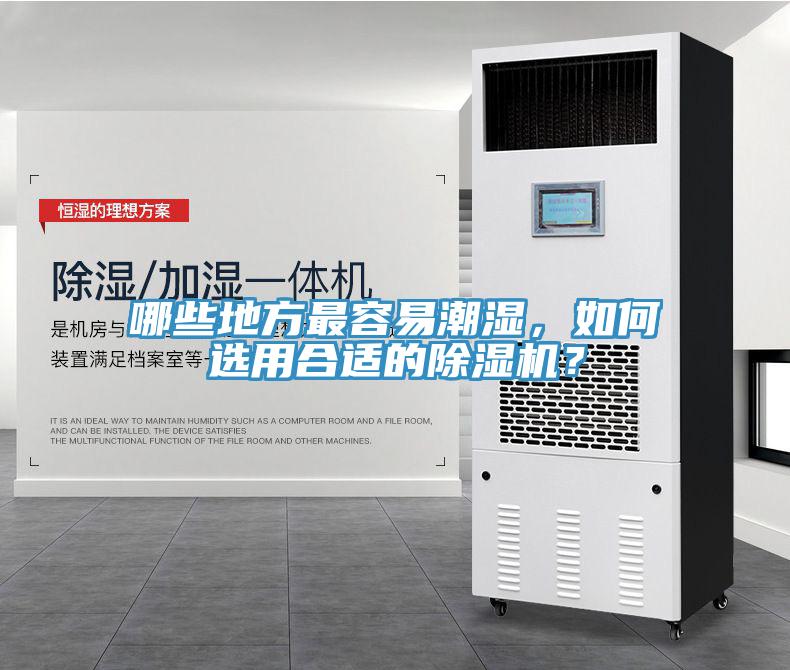 哪些地方最容易潮濕，如何選用合適的除濕機？