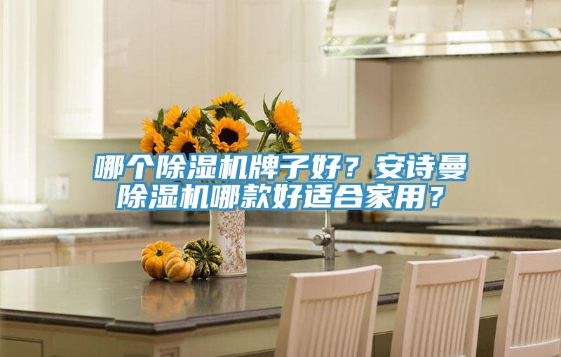 哪個(gè)除濕機(jī)牌子好？安詩(shī)曼除濕機(jī)哪款好適合家用？