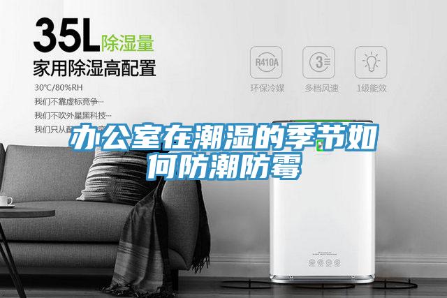 辦公室在潮濕的季節(jié)如何防潮防霉