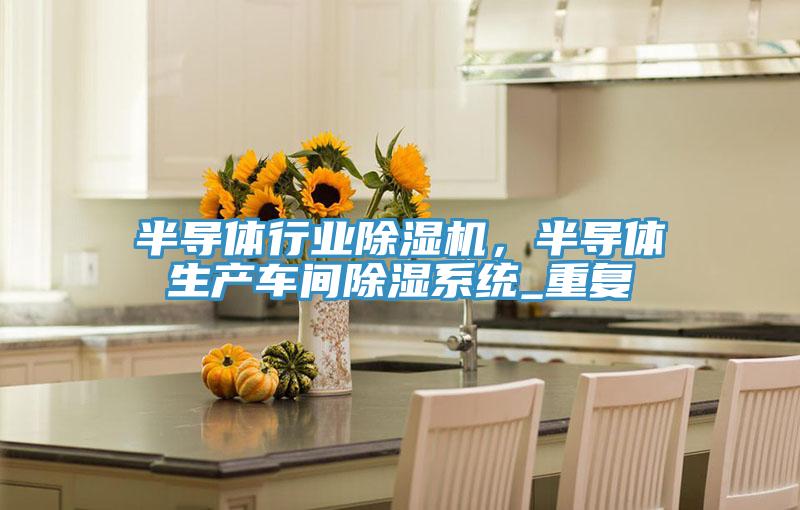 半導(dǎo)體行業(yè)除濕機，半導(dǎo)體生產(chǎn)車間除濕系統(tǒng)_重復(fù)