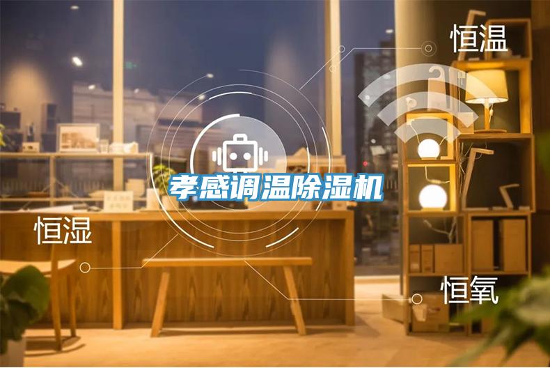 孝感調(diào)溫除濕機(jī)