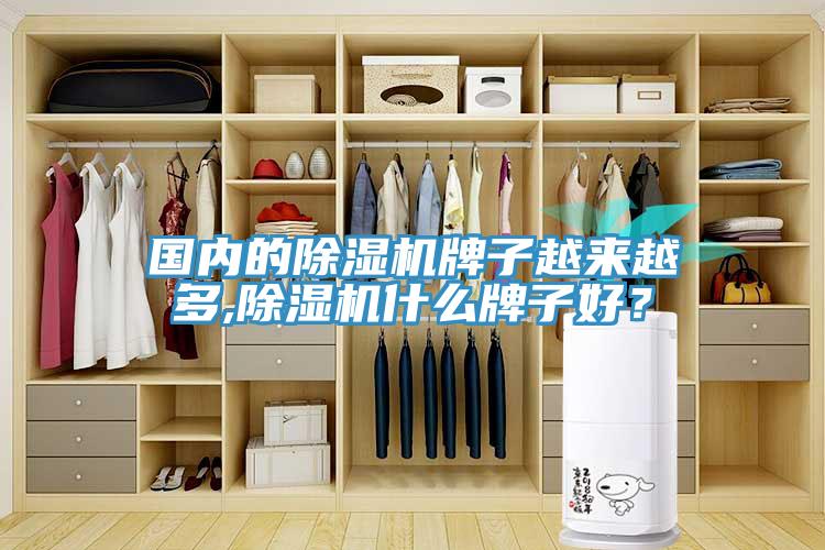 國(guó)內(nèi)的除濕機(jī)牌子越來越多,除濕機(jī)什么牌子好？