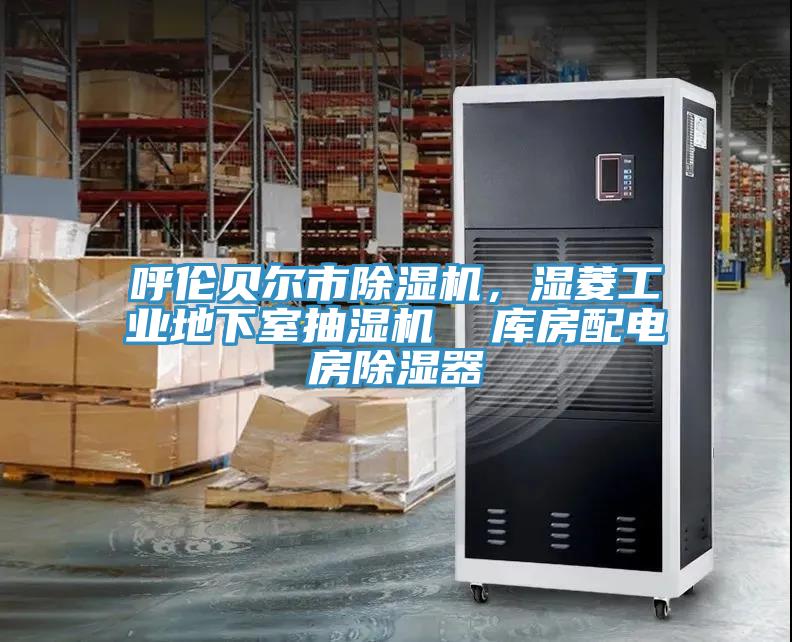 呼倫貝爾市除濕機(jī)，濕菱工業(yè)地下室抽濕機(jī)  庫房配電房除濕器