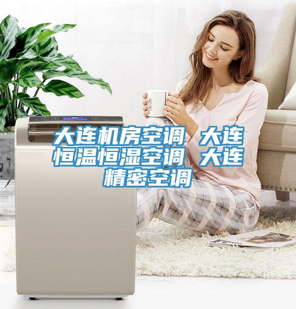 大連機房空調(diào) 大連恒溫恒濕空調(diào) 大連精密空調(diào)