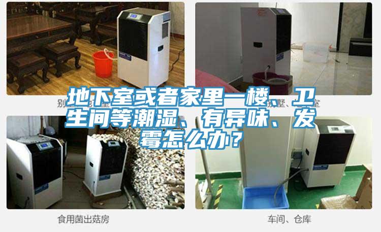 地下室或者家里一樓、衛(wèi)生間等潮濕、有異味、發(fā)霉怎么辦？