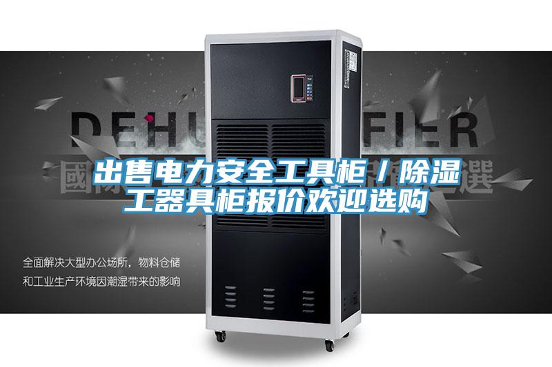 出售電力安全工具柜／除濕工器具柜報(bào)價(jià)歡迎選購(gòu)