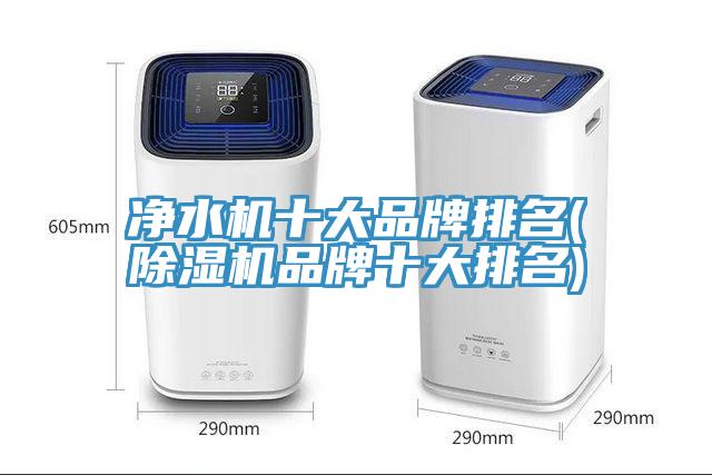 凈水機(jī)十大品牌排名(除濕機(jī)品牌十大排名)