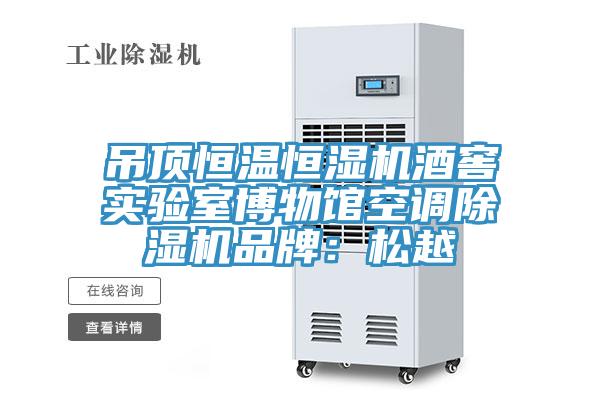 吊頂恒溫恒濕機(jī)酒窖實(shí)驗(yàn)室博物館空調(diào)除濕機(jī)品牌：松越