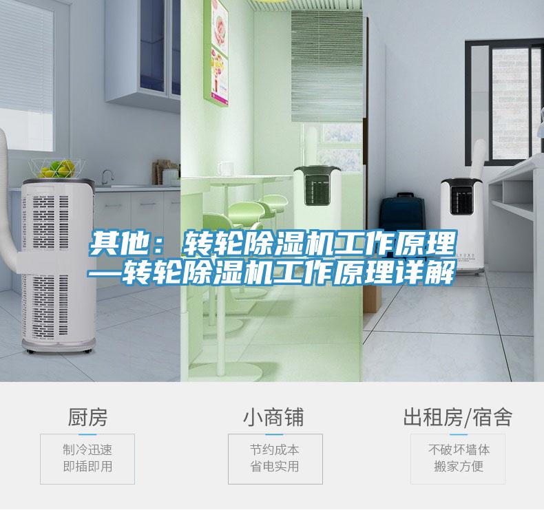 其他：轉(zhuǎn)輪除濕機(jī)工作原理—轉(zhuǎn)輪除濕機(jī)工作原理詳解