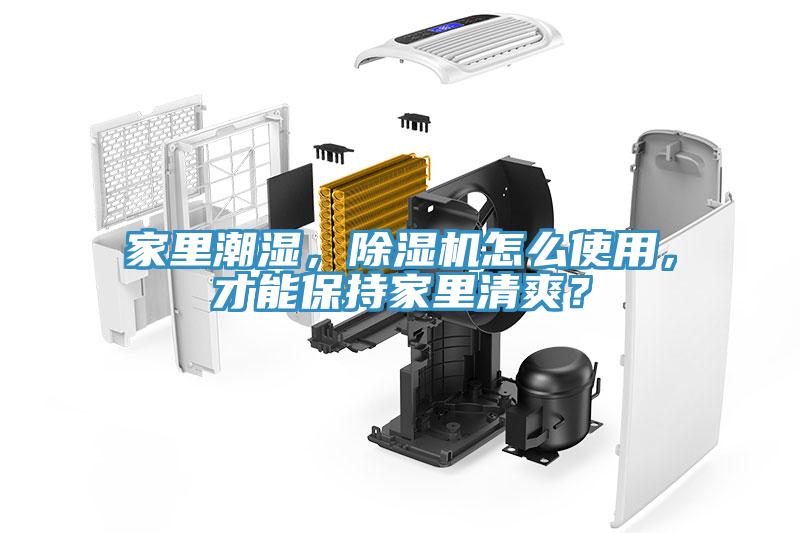 家里潮濕，除濕機(jī)怎么使用，才能保持家里清爽？